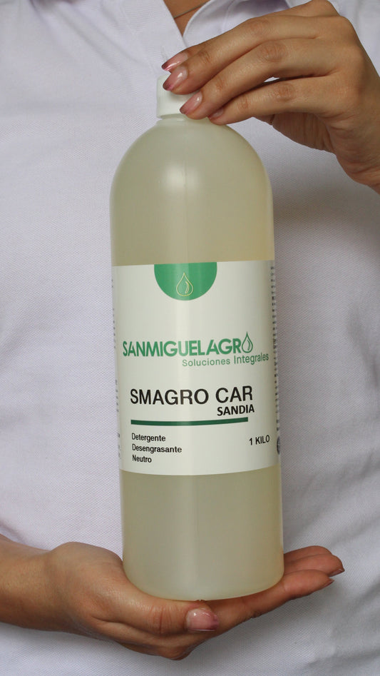 Smagro Car